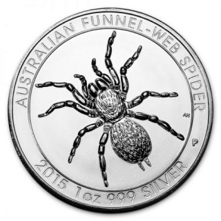 AUSTRALIAN FUNNEL-WEB SPIDER , Szczecin