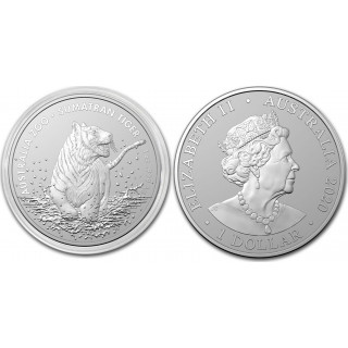 Sumatran tiger 2020 silver
