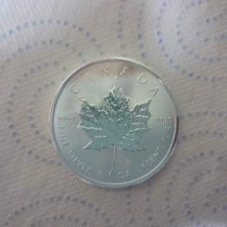 Liść klonu 20szt