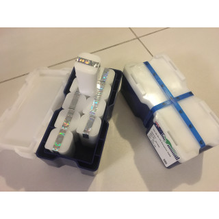 Srebrny australijski kangur masterbox 250sztuk