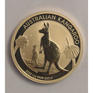 Australijski Kangur 1oz