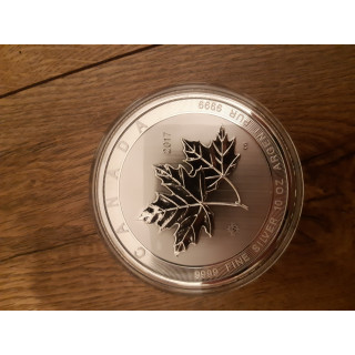Kanadyjski liść klonowy 10OZ 1szt