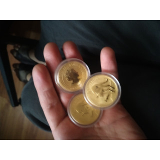 Złote monety Kangur australijski 1oz