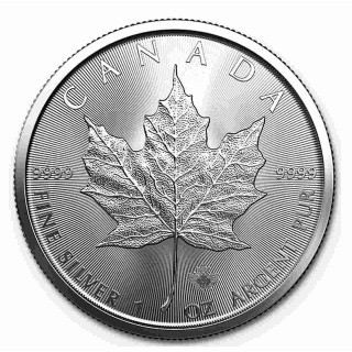 Srebrny Kanadyjski Liść Klonowy 1 oz, 50 sztuk, 2 tuby