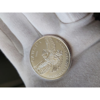 Puchacz Wirginijski, Kanada, 25 x 1 oz., srebro 9999, 2015 r.