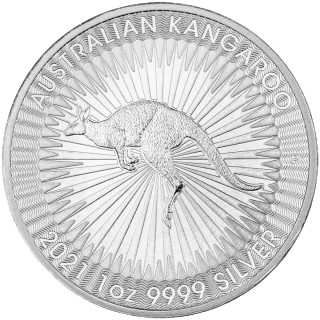 Australijski Kangur (tuba 25 szt.)