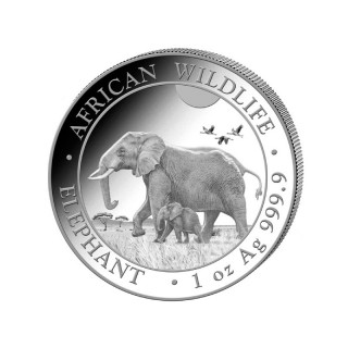 SŁOŃ AFRYKAŃSKI SOMALIA 2022 rok do 200 szt (10 tub)