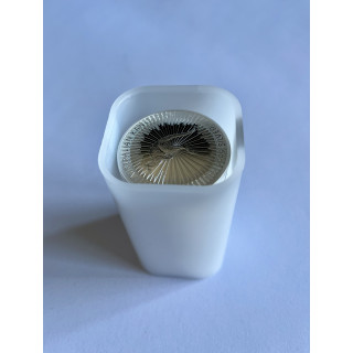 Srebro 25x1oz Tuba Australijski Kangur 2021
