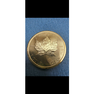 Moneta złota 2019 1oz kanadyjski liść klonowy