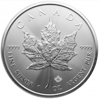 25 x Kanadyjski Liść Klonowy 2021 (1 Tuba)